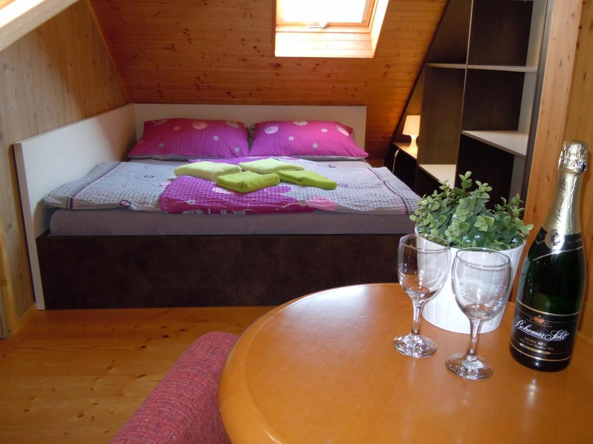 Apartment Wellness Vlckova 外观 照片