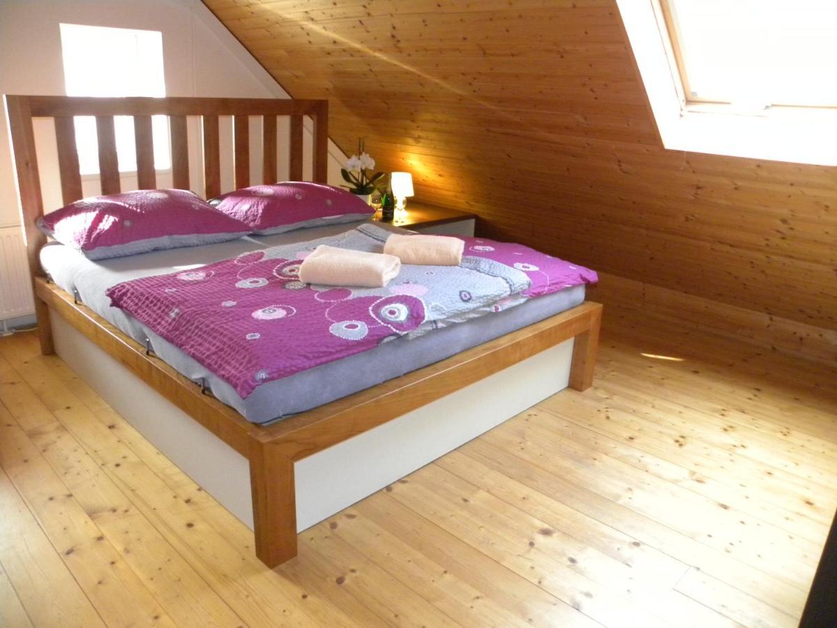 Apartment Wellness Vlckova 外观 照片