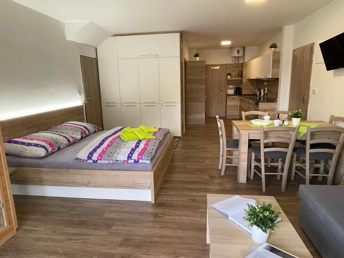 Apartment Wellness Vlckova 外观 照片
