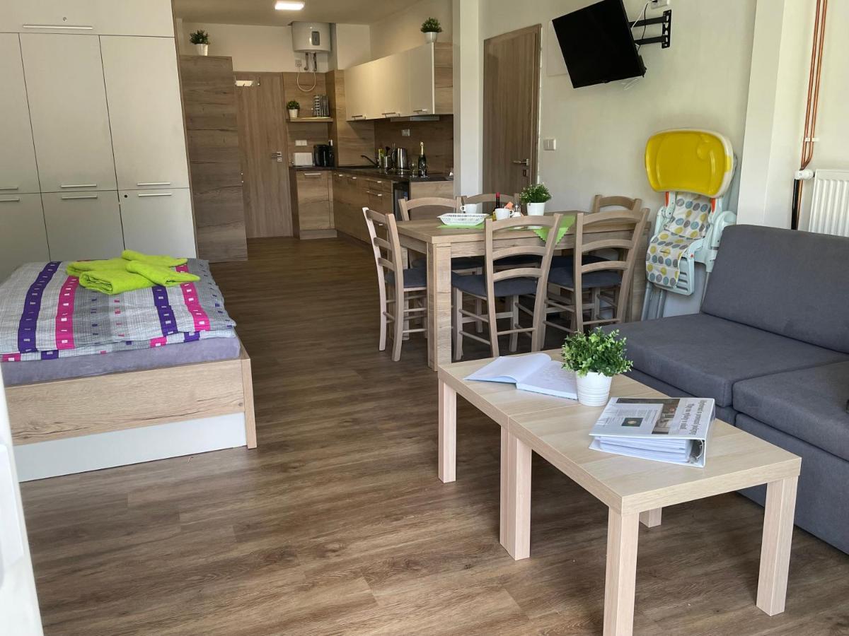 Apartment Wellness Vlckova 外观 照片