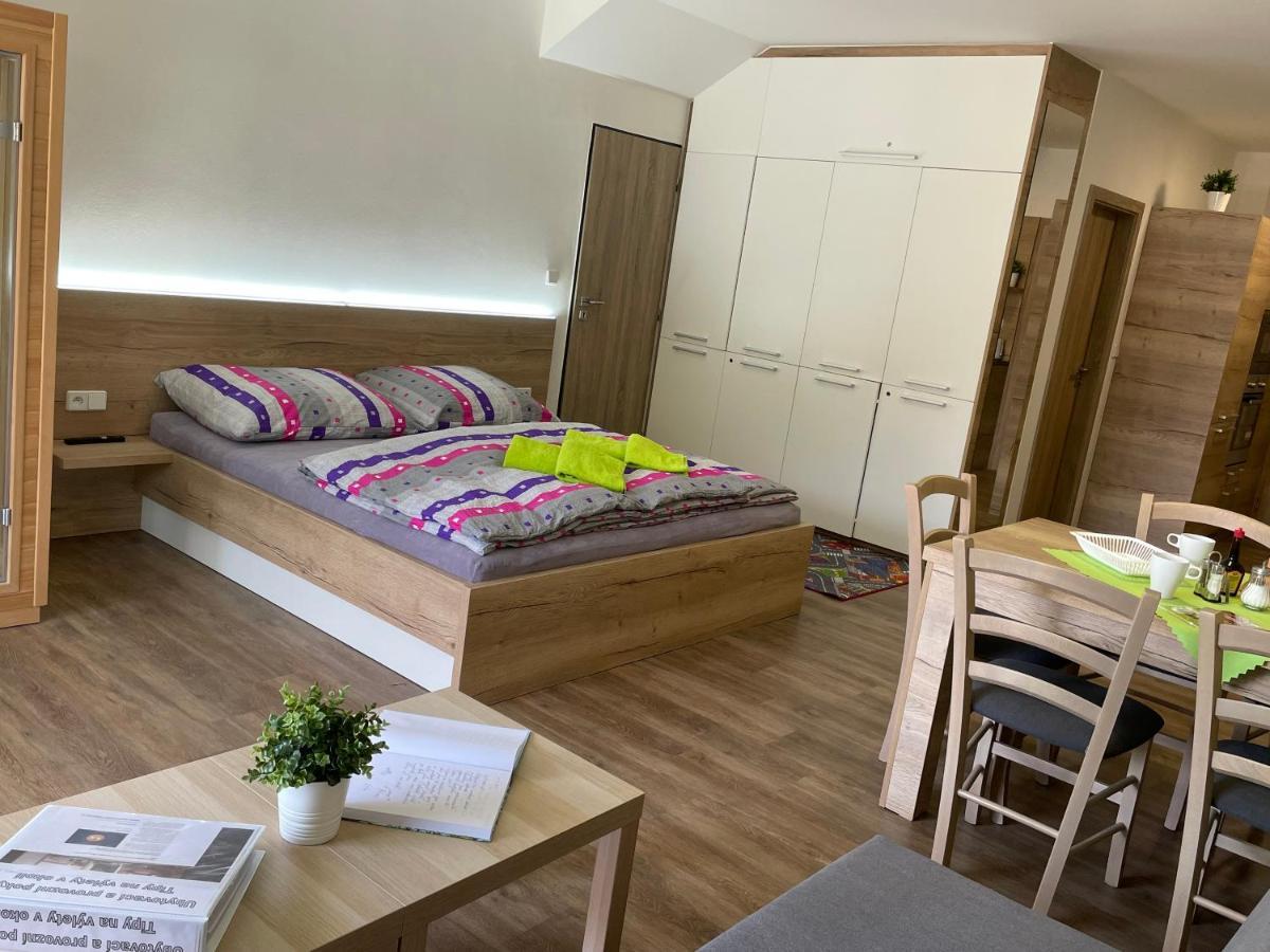 Apartment Wellness Vlckova 外观 照片