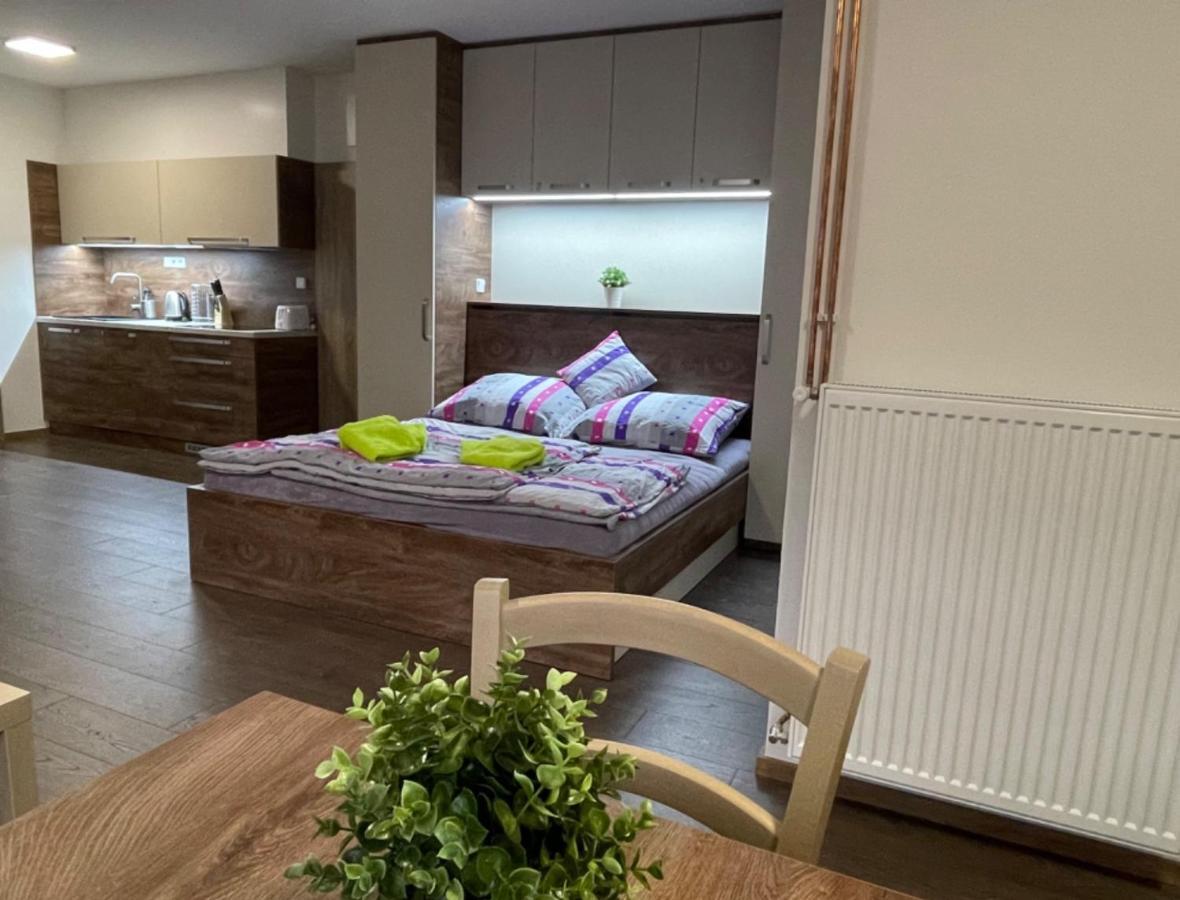 Apartment Wellness Vlckova 外观 照片