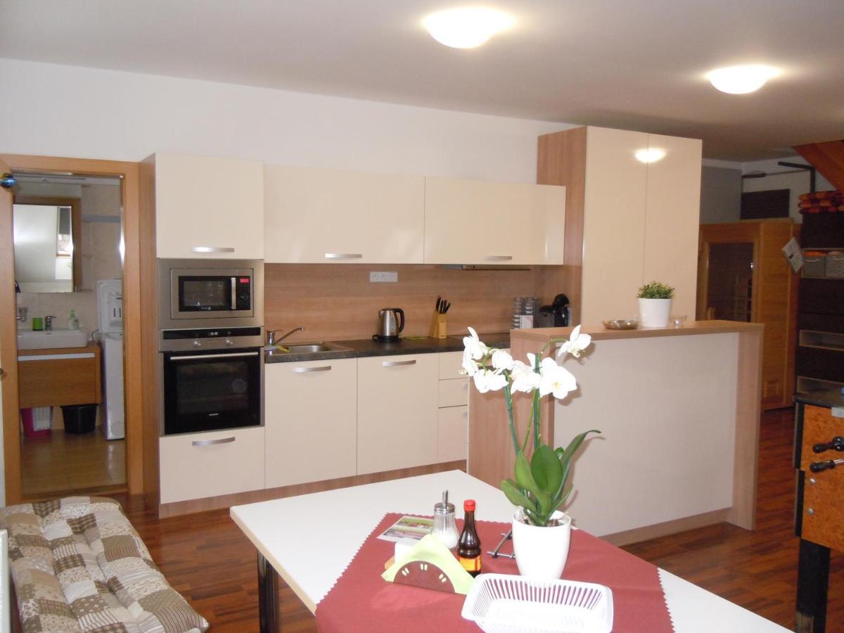 Apartment Wellness Vlckova 外观 照片